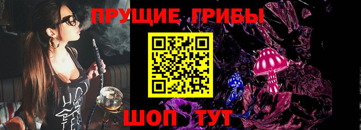 Псилоцибиновые грибы мухоморы Десногорск